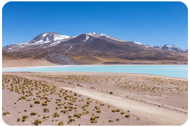 Calama